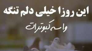 تسلیت شهادت امام رضا  دلتنگ کب...