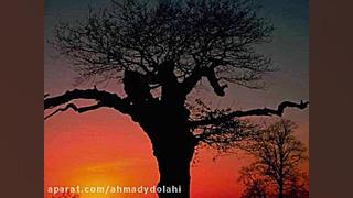 مصطفی گراشی دشتی سوزناک با نی