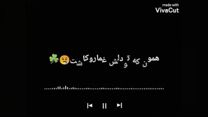 مرتضی پاشایی موزیک ادم