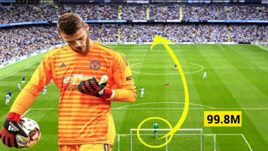 گل های دیدنی دروازه بان ها از...