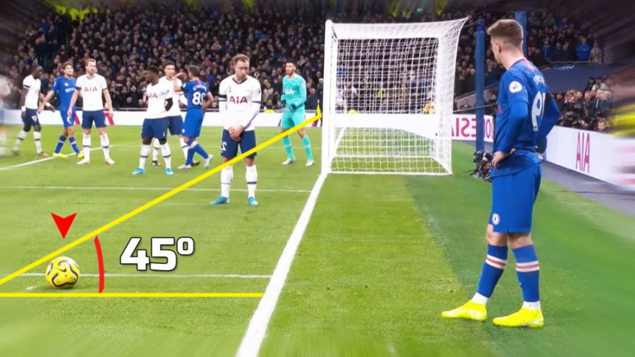 گل های افسانه ای با زاویه بسته...