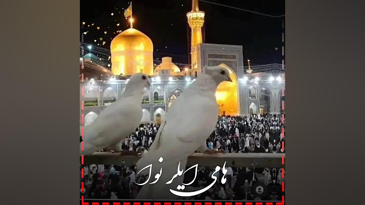 نوحه ترکی دلنشین یا امام رضا ع...