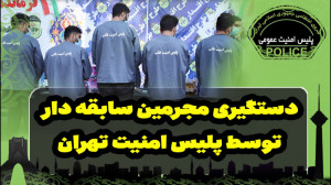 دستگیری مجرمین سابقه دار توسط...