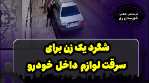 شگرد یک زن برای سرقت لوازم داخ...