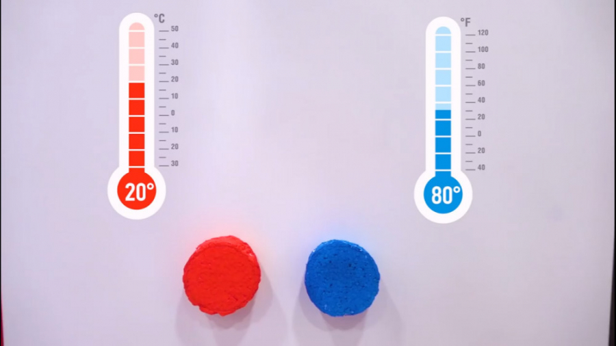 ماجراهای اوا