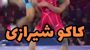 فنون زیبا و دیدنی محمدرضا گرای...