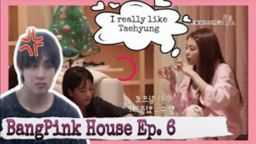 خانه بلک پینک و بی تی اس::ولاگ...