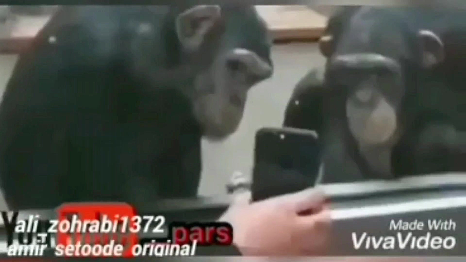 پشت‌صحنه‌خندار طنز حریم‌سلطان