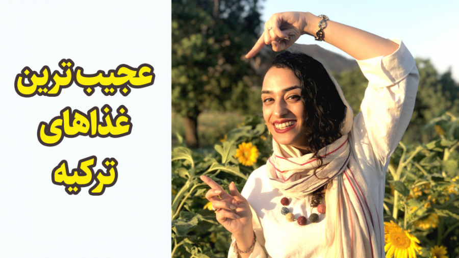 آموزش زبان ترکی استانبولی با ش...