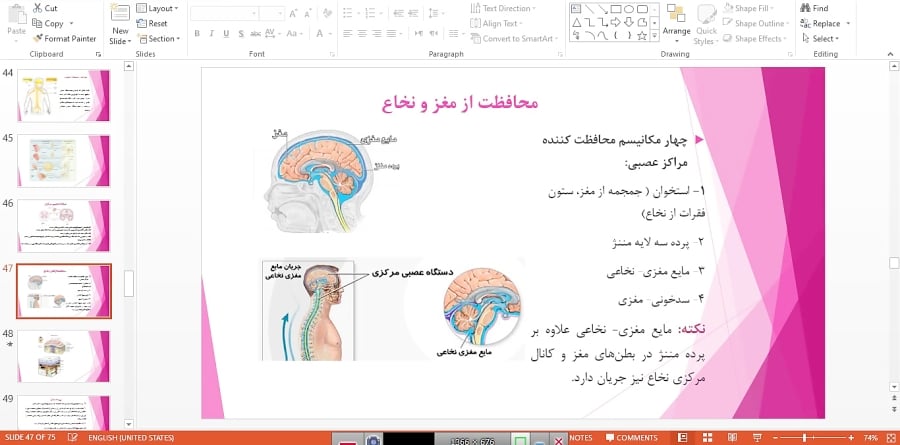 یازدهم تجربی درس زیست شناسی ساختار پرده مننژ و مغز