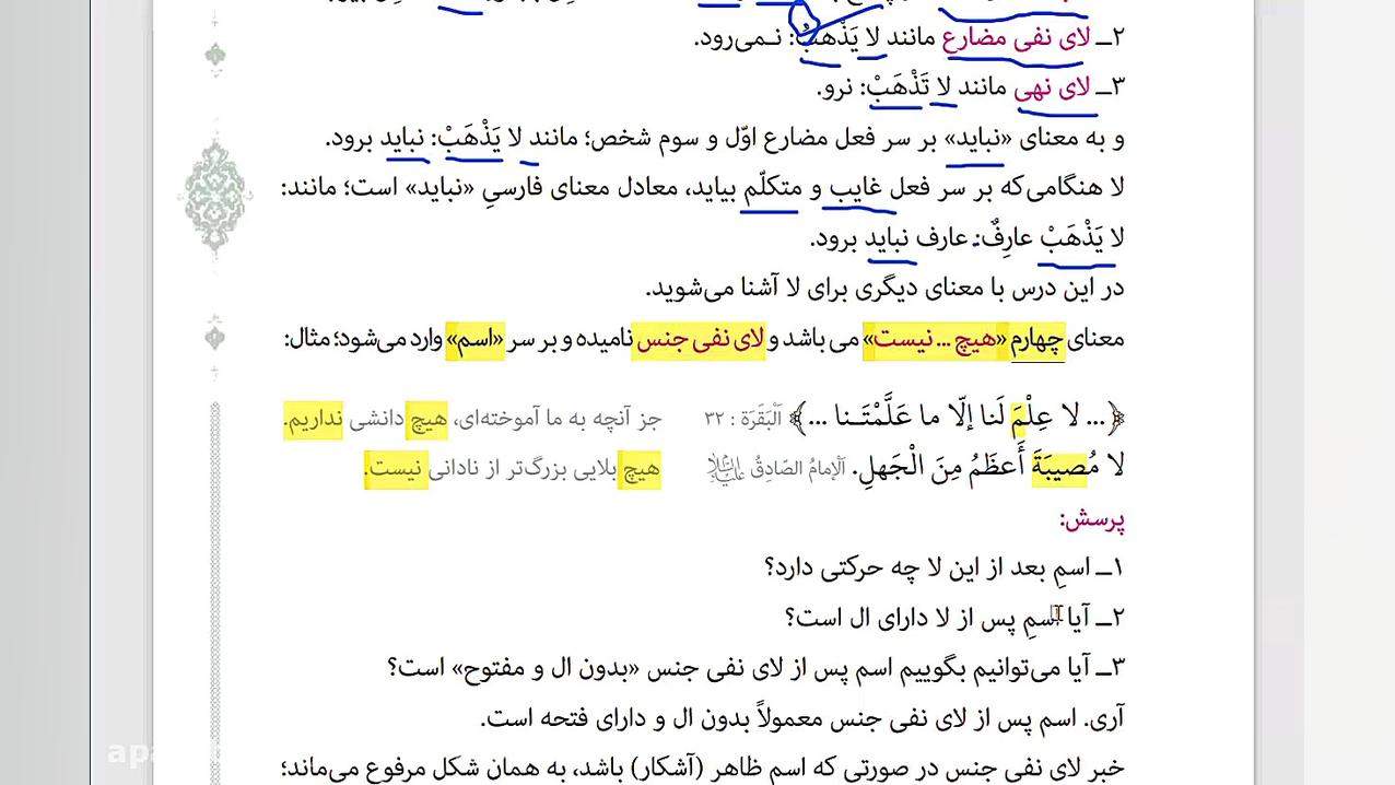 لا ی نفی جنس (انسانی)