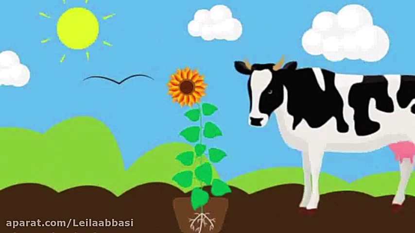 چرخه نیتروژن پایه نهم فصل اول(...