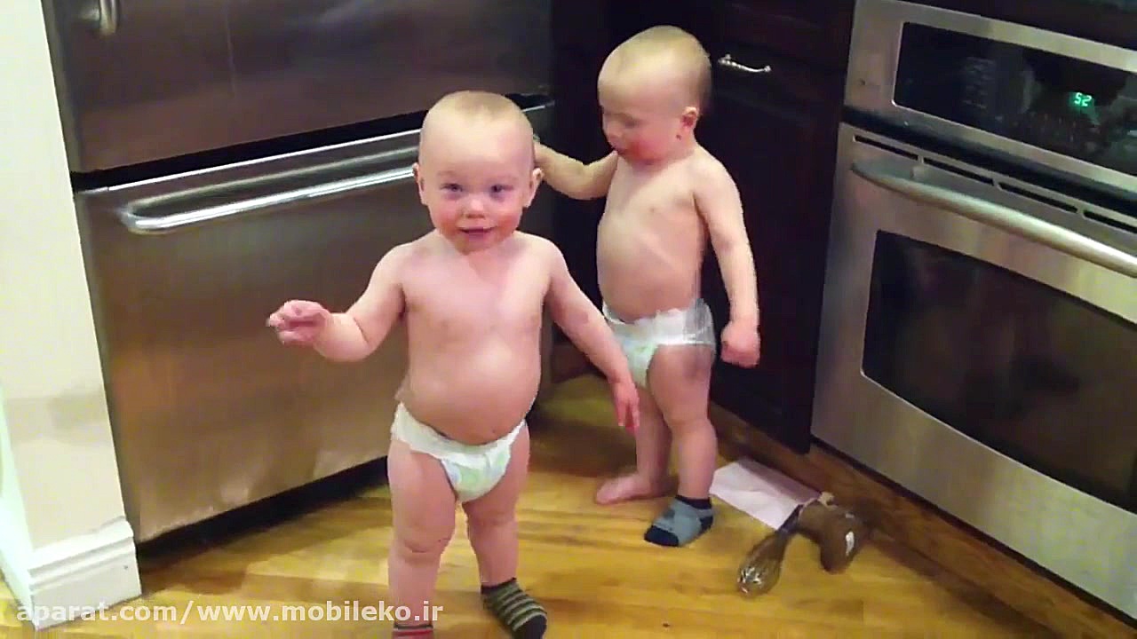 صحبت کردن بامزه دوقوها باهم