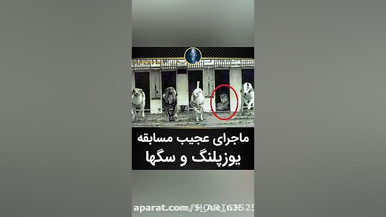 گوشات باز کون