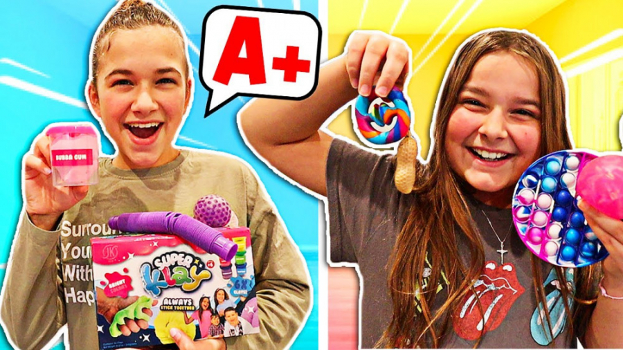 چالش حدس زدن فیجت ها مدی و سیل...