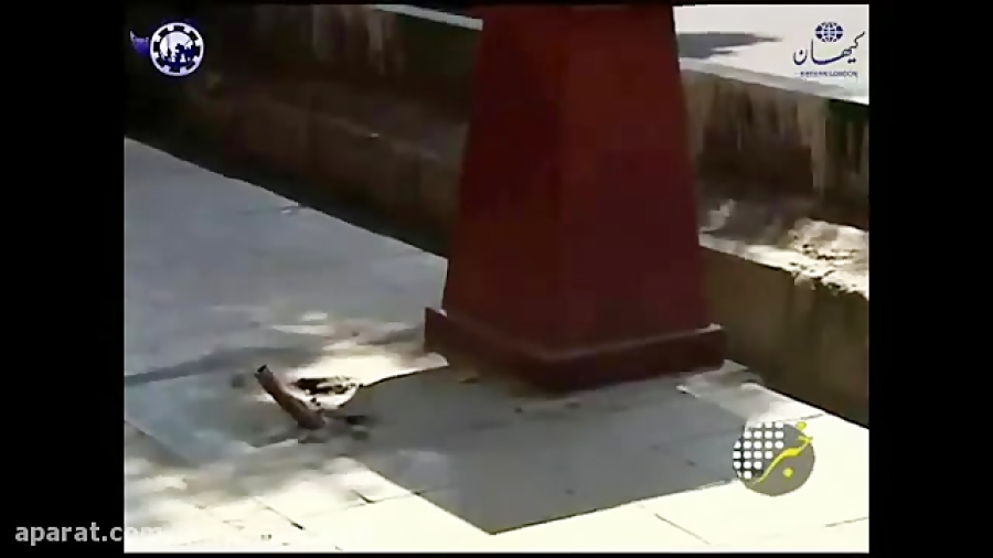 دوباره مجسه دزدی شروع شد merci...