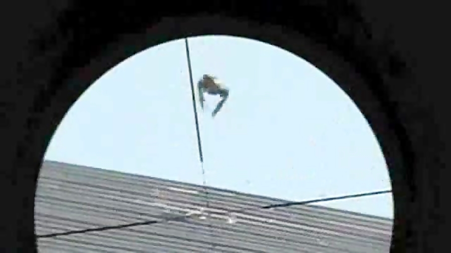 شکار کبوتر باتفنگ بادی بنجامین...