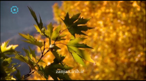 دکلمه شعر ترکی، شاعر زنده یاد...