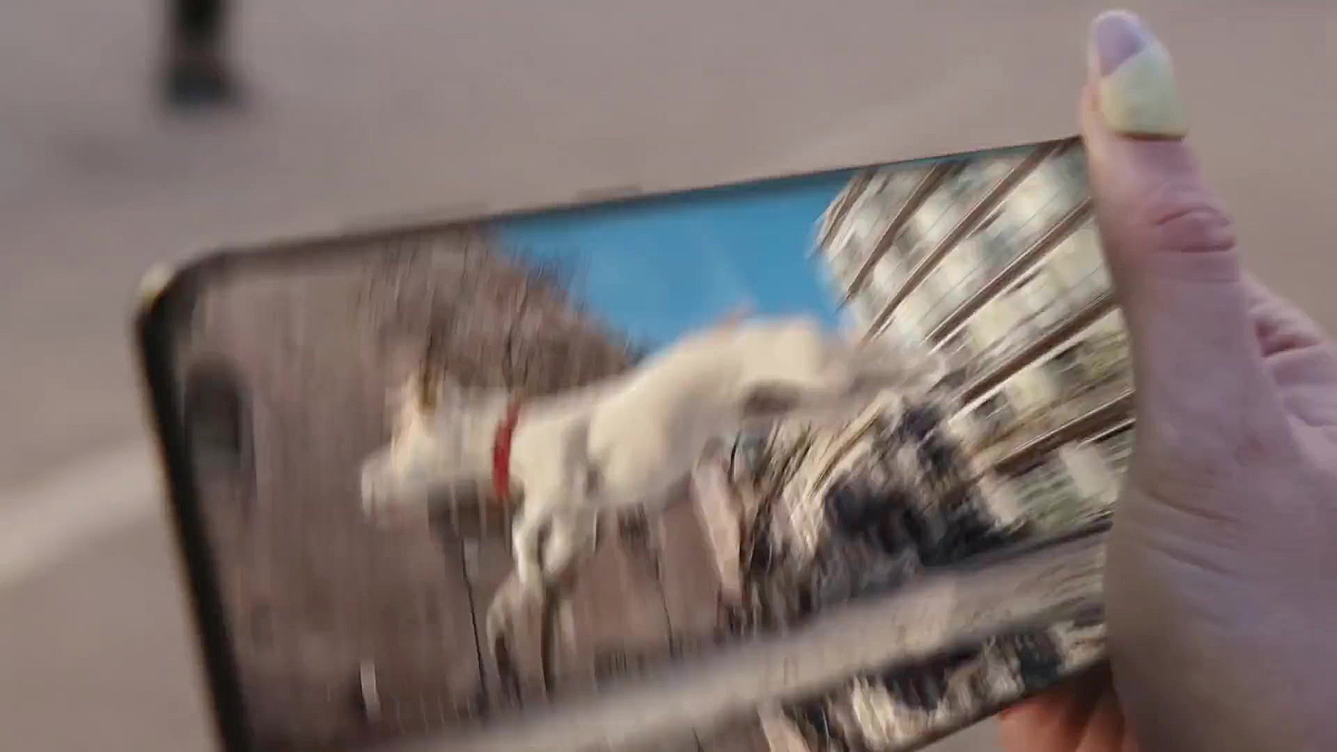 Galaxy S21 Series Official Fil...