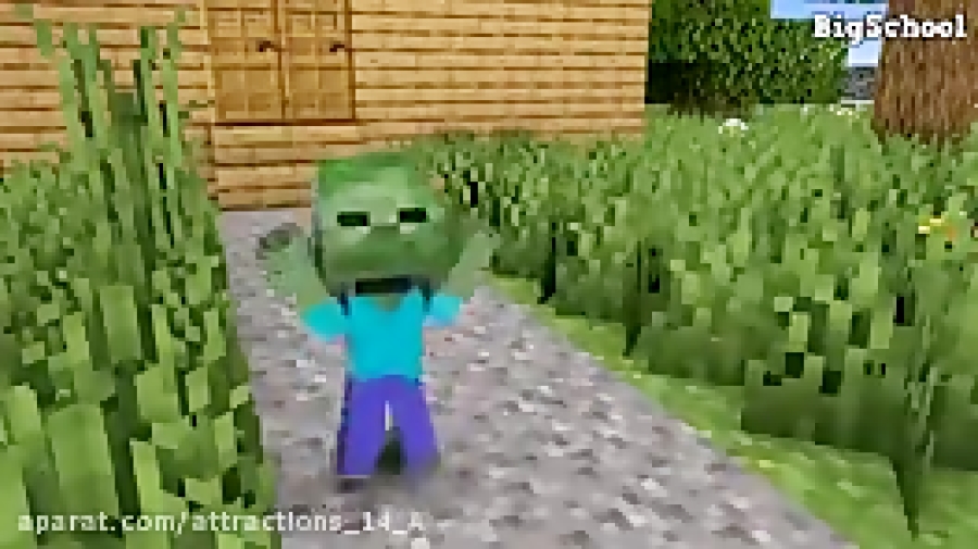 انیمیشن مانکرافت