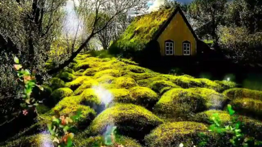 مرنجان دلم را که این مرغ وحشی...