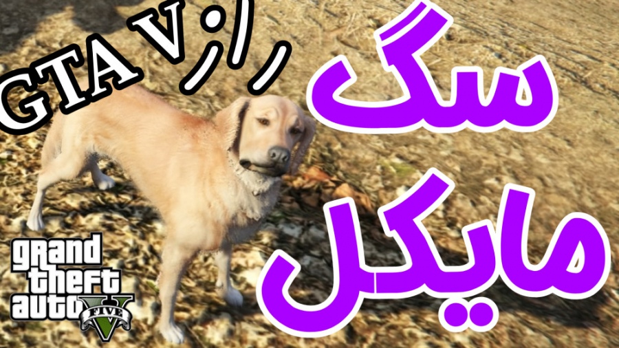 راز و داستان کامل سگ مایکل در...