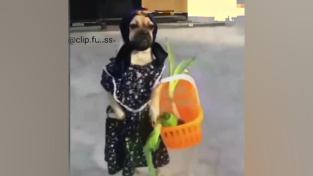 طنز خنده دار  کلیپ خنده دار با...