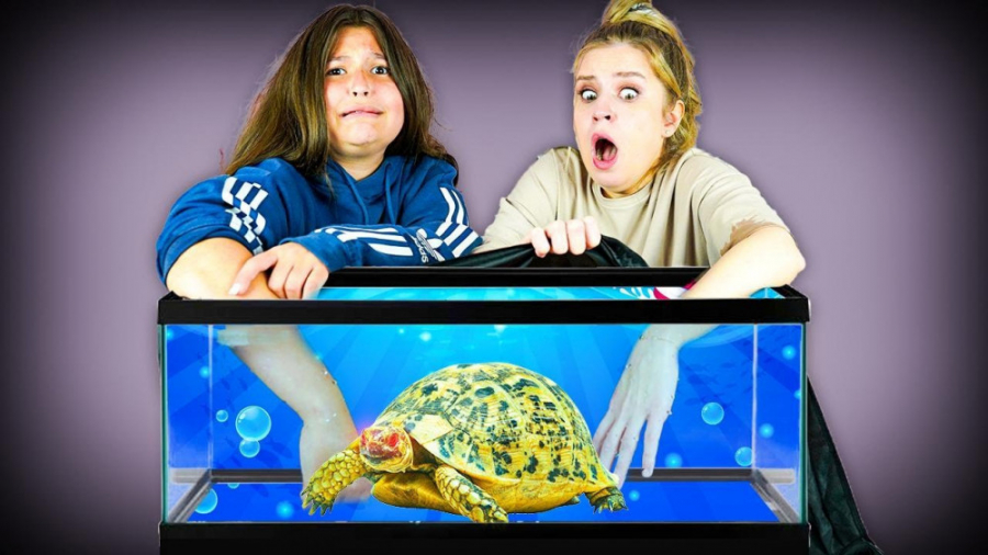 چالش دخترونه جعبه مرموز و حدس