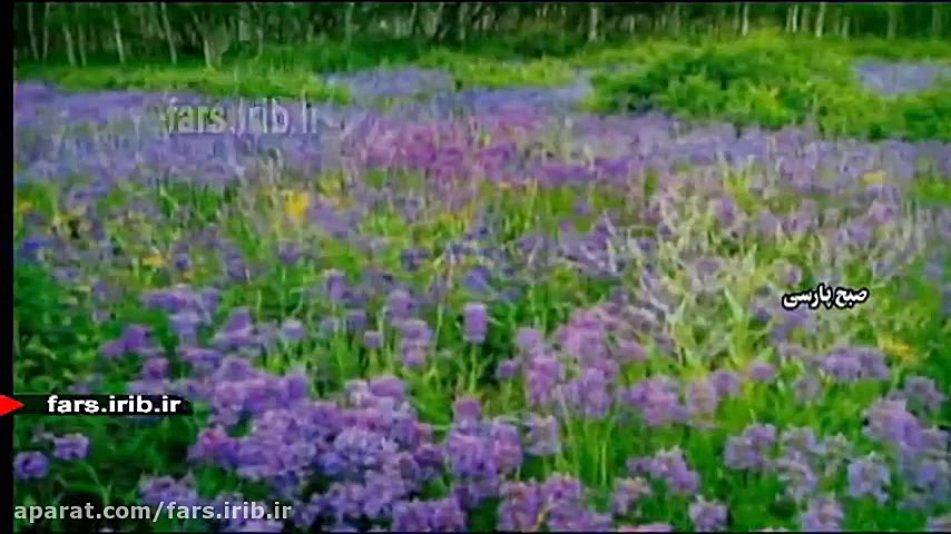 ترانه شاد &quot; بی همتا &quot...