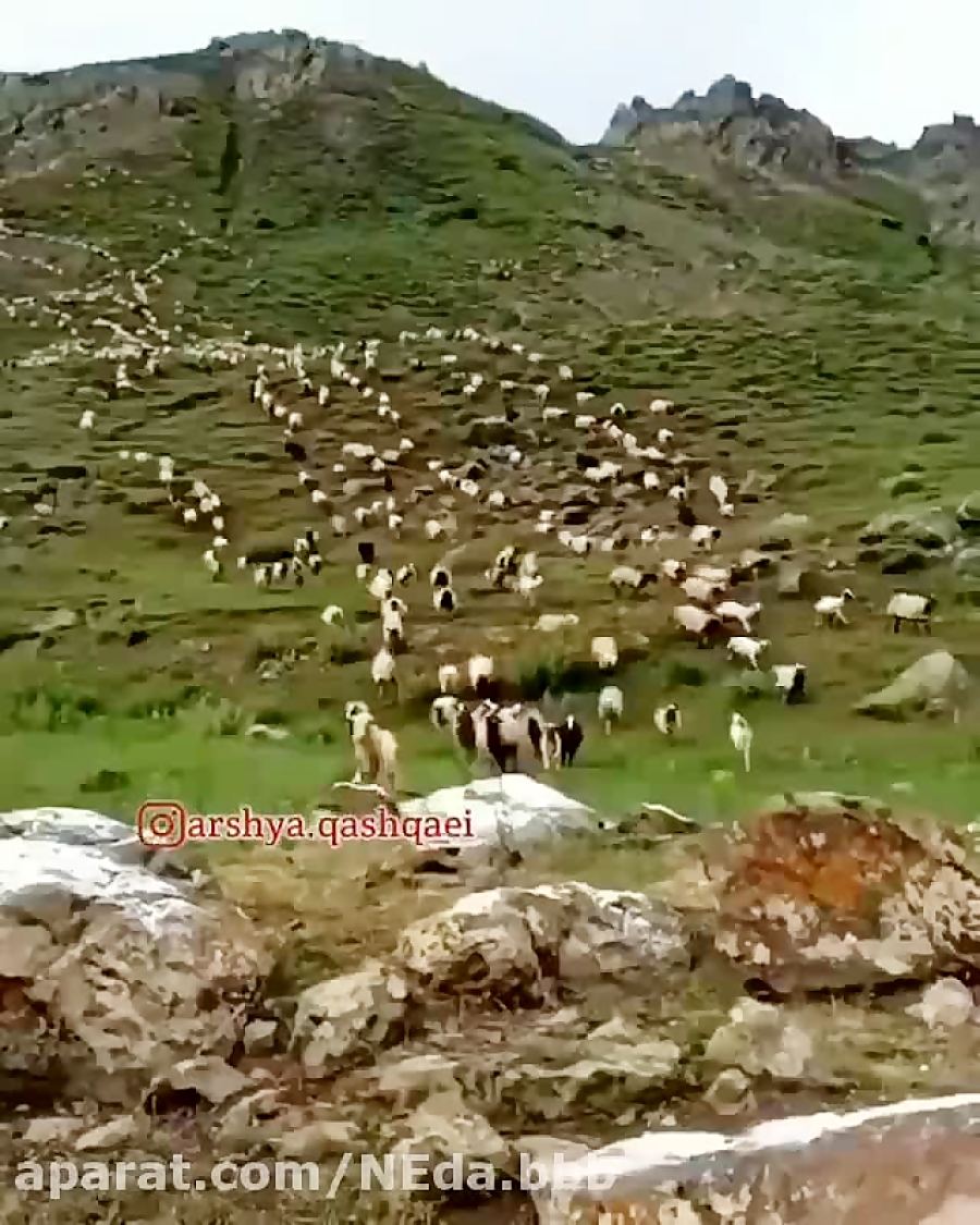 محلی غمگین  اهنگ محلی  دلشکسته...