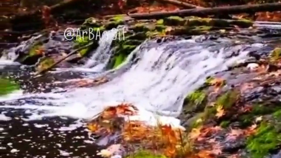 خالی شدم از ذهن خود | آهنگ زیب...