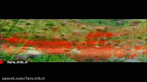ترانه " خورشید یقین "...