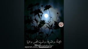 چهار چیز که برکت را از بین می...
