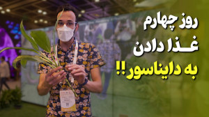 روز چهارم نمایشگاه جیتکس 2021