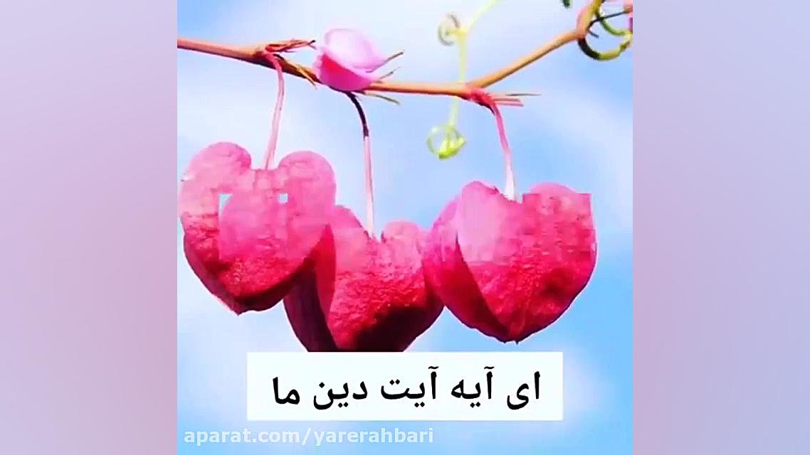 ولادت پیامبر ص و امام صادق ع