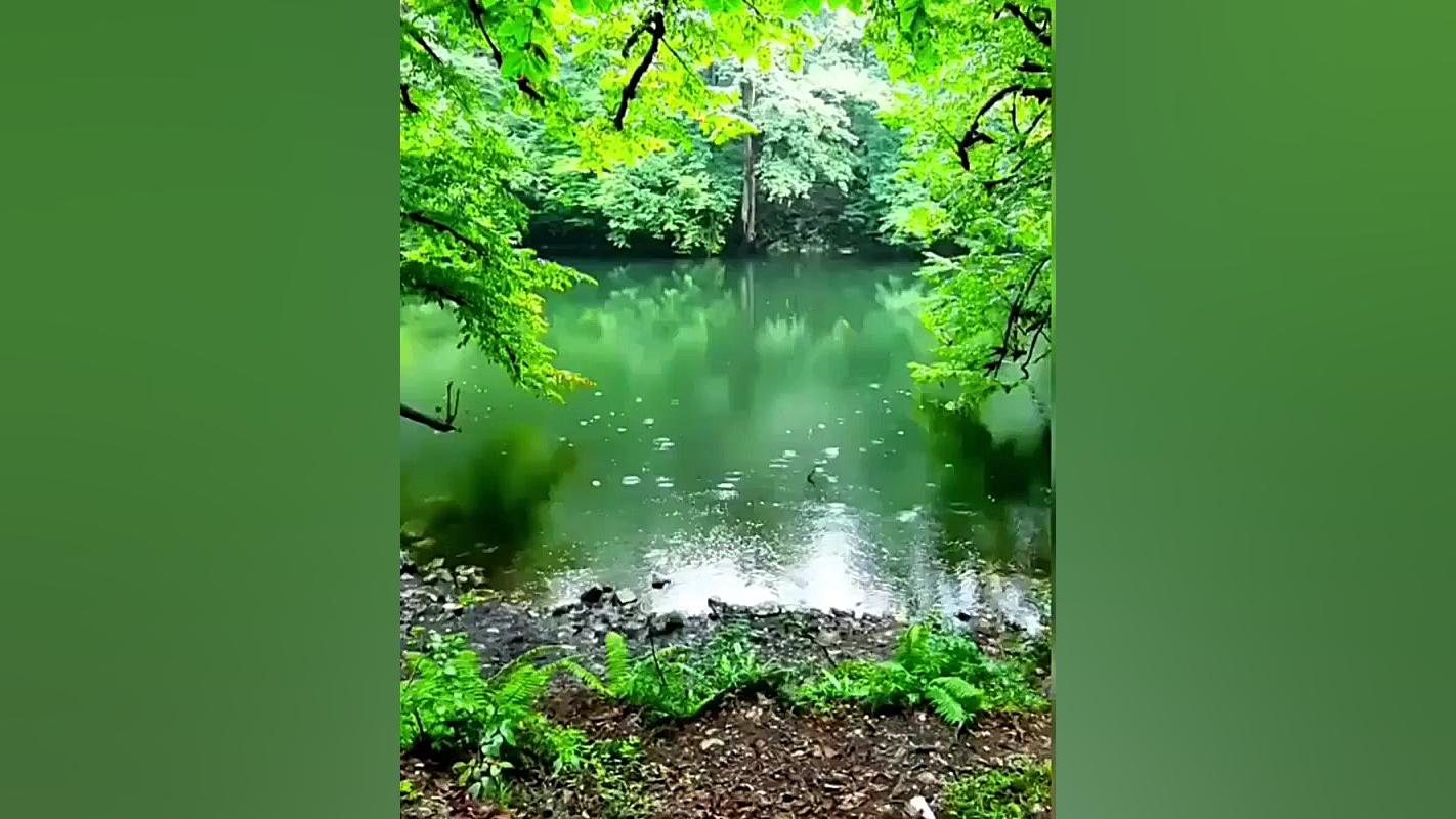 کجایی جوانی