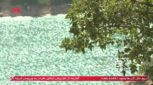 موزیک ویدئو بختیاری موسی موسوی