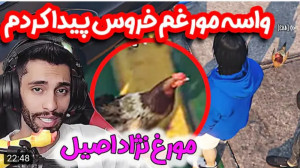گیم | پویان ان آر | واسه مرغ پ...
