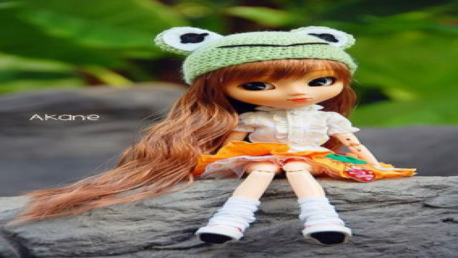 زیبا ترین باربی های جهان