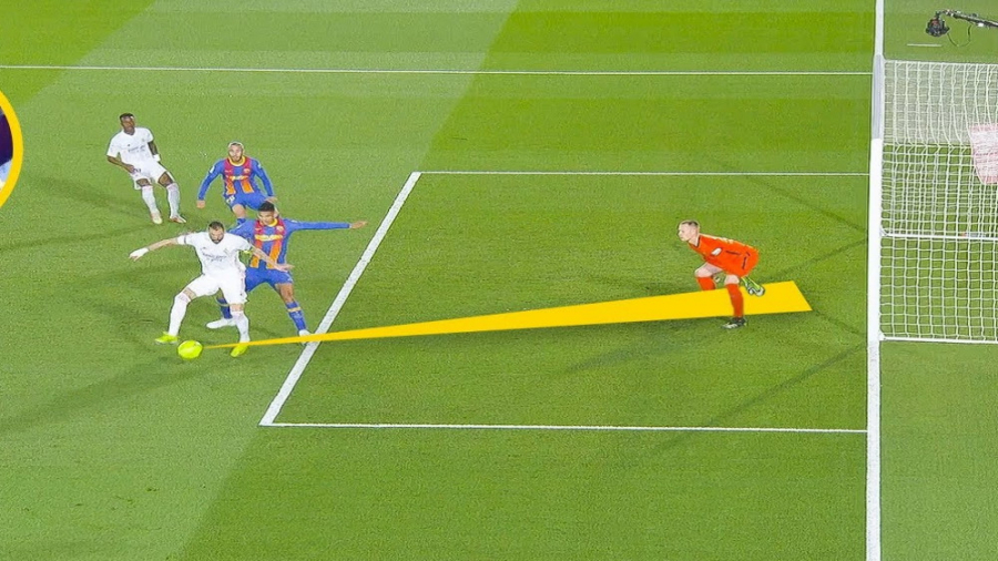 دیدنی&zwnj;ترین گل&zwnj;های رئ...