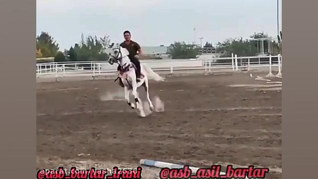 سیلمی یاشا سرمیلی زاده ال جارا...