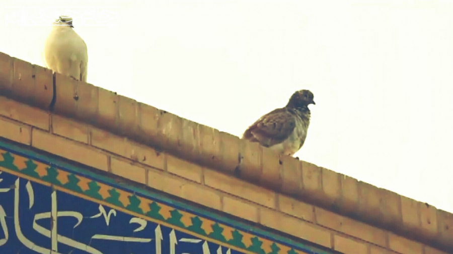 کلیپ دهه کرامت روز تکریم امامز...