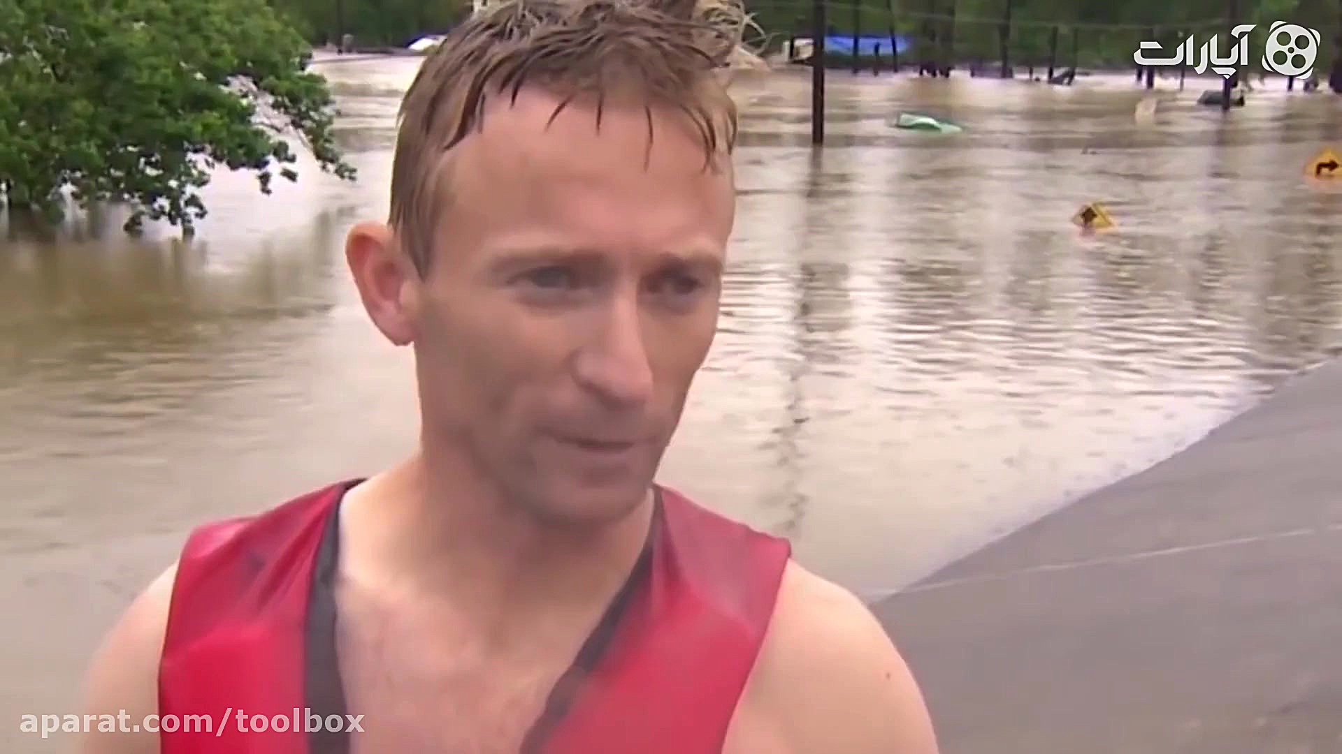 کمک به حیوانات