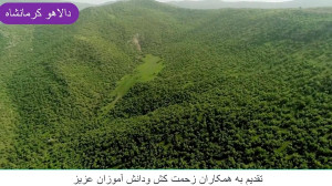یه صبح بخیر پر انرژی(با مناظر...
