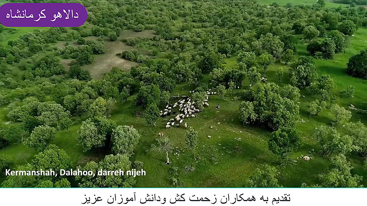 یه صبح بخیر پر انرژی(با مناظر...