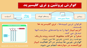 تدریس فصل 2 گفتار 1 زیست دهم
