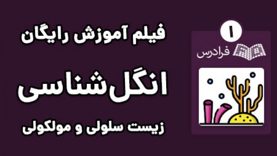 آموزش انگل شناسی 2 - تک یاخته و حشره - پارت یکم - آمیب ها (انتاموبا ...