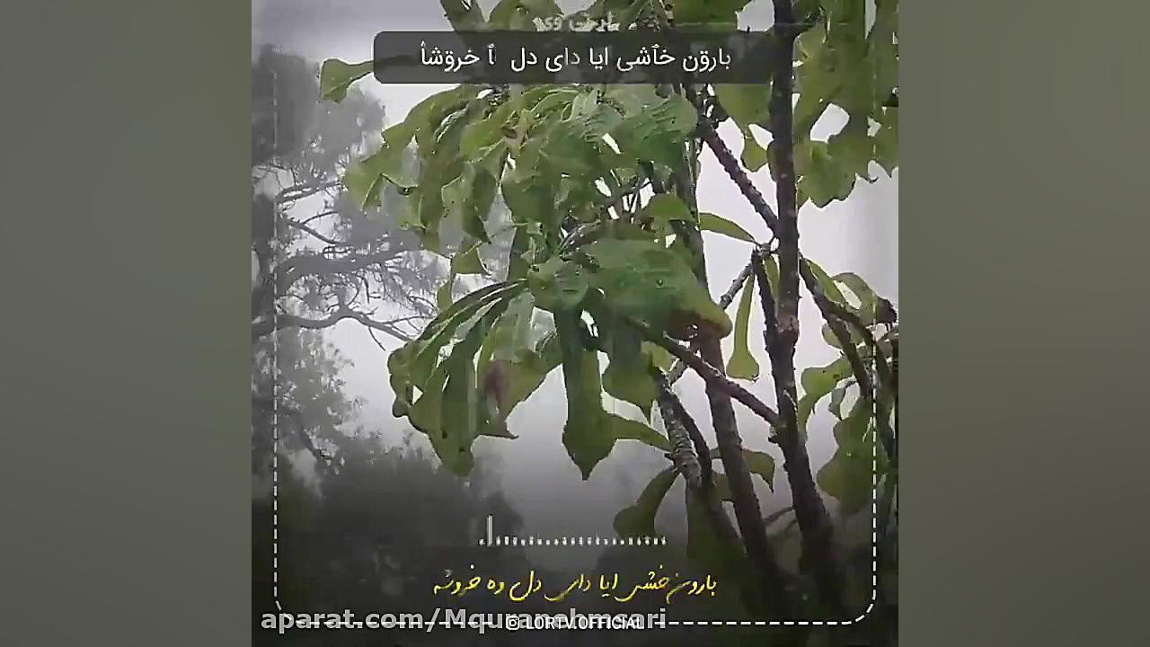 کلیپ لری بسیار زیبا اهنگ لری ب...