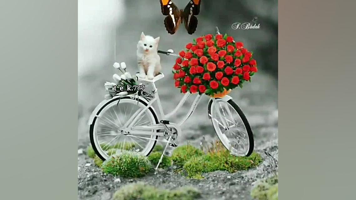 کلیپ ترکی .برای استوری .کیزکان...