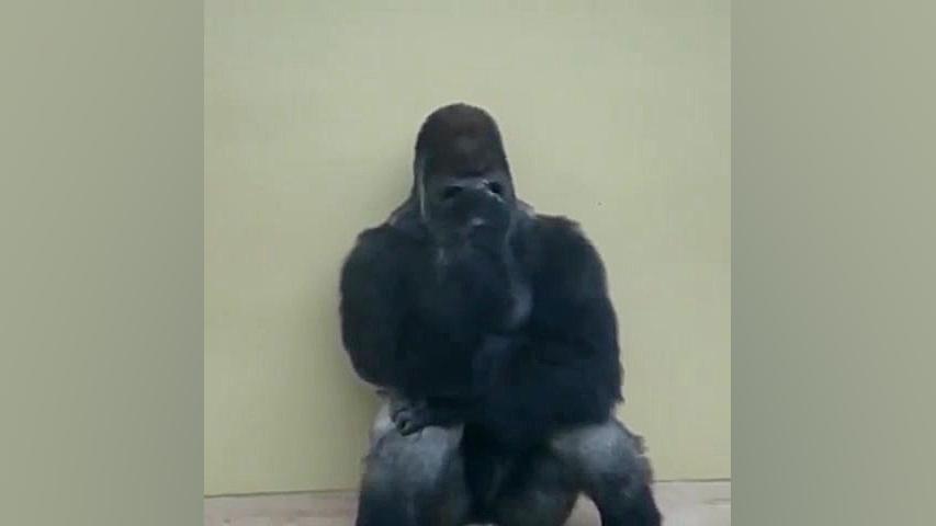 میکس با حال